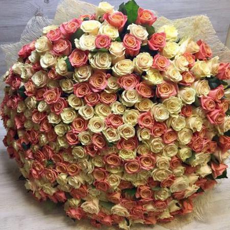 Букет из 301 разноцветной розы (60см)