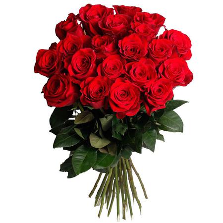 15 роз красных (60 см)