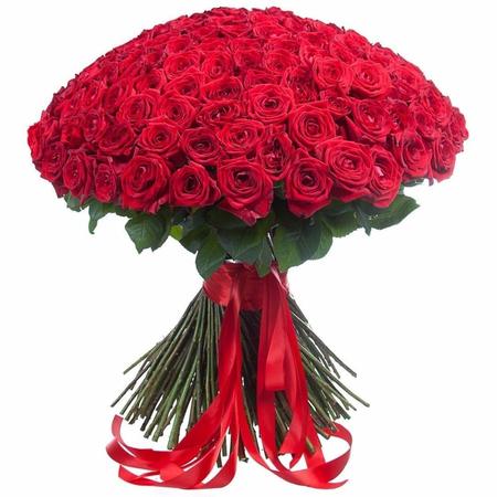 Букет 151 красная роза «Гран-при» 60 см